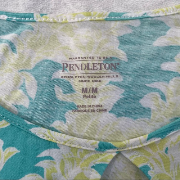 Pendleton long sleeve 100% cotton T-shirt. Turquoise and lime green. Size M - Picture 4 of 9